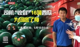 今日吃瓜爆料,娱乐圈最新猛料大揭秘！